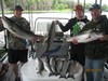 (05/19/2015) - Nice Striped Bass